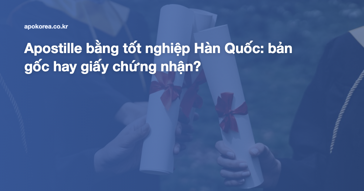 Apostille bằng tốt nghiệp Hàn Quốc: bản gốc hay giấy chứng nhận?